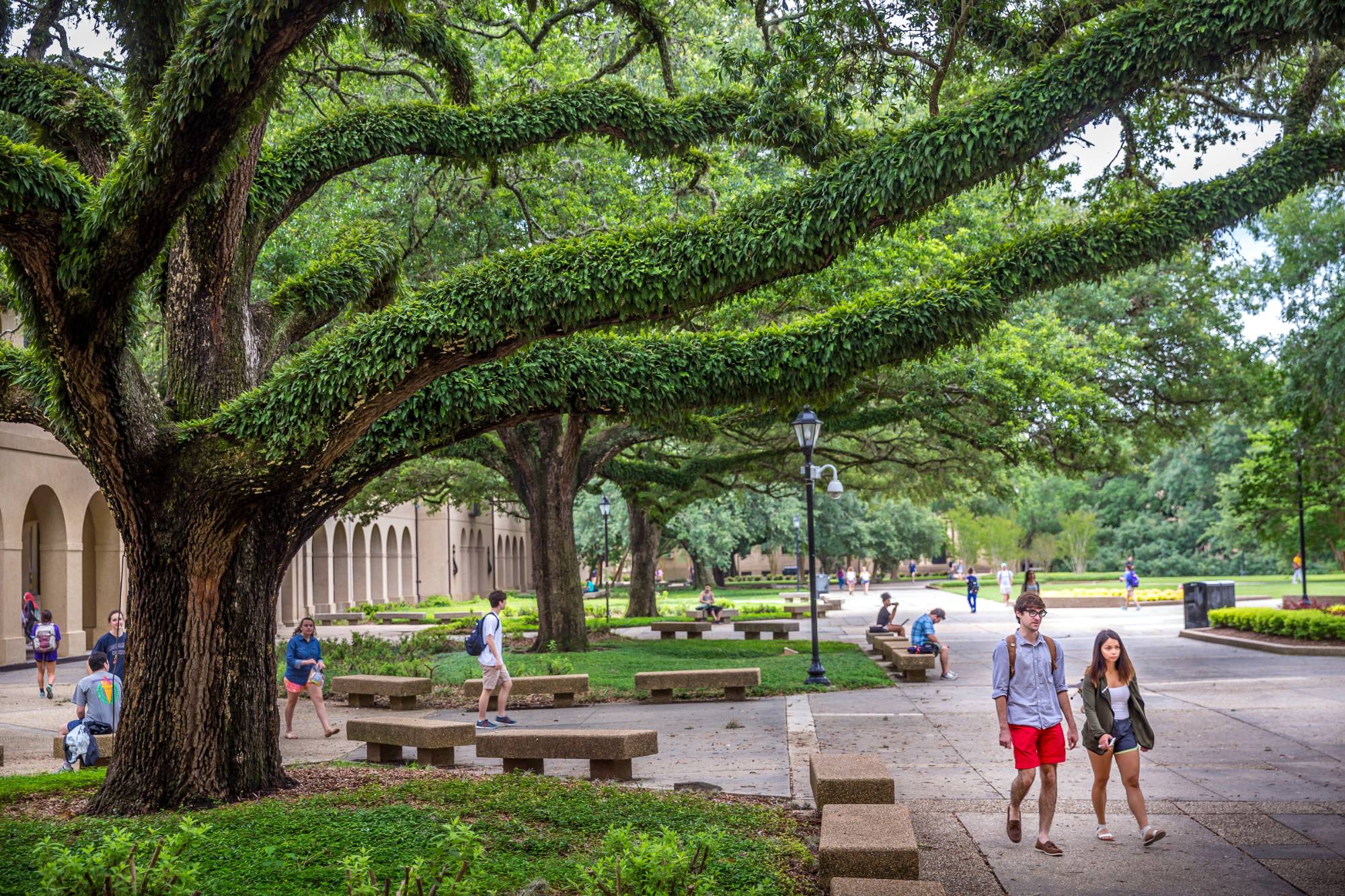 Photo of students walking in the Quad