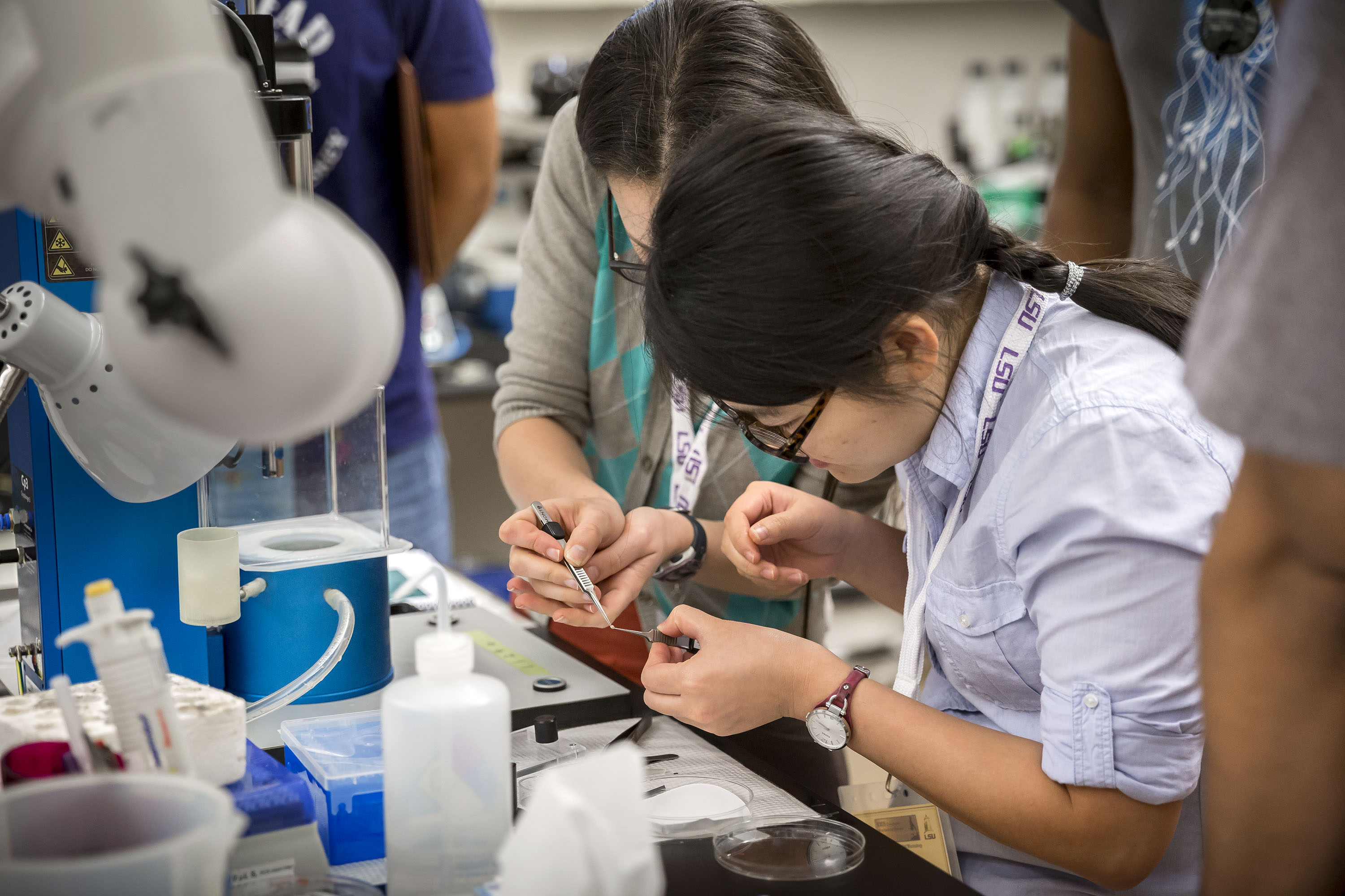 students in lab