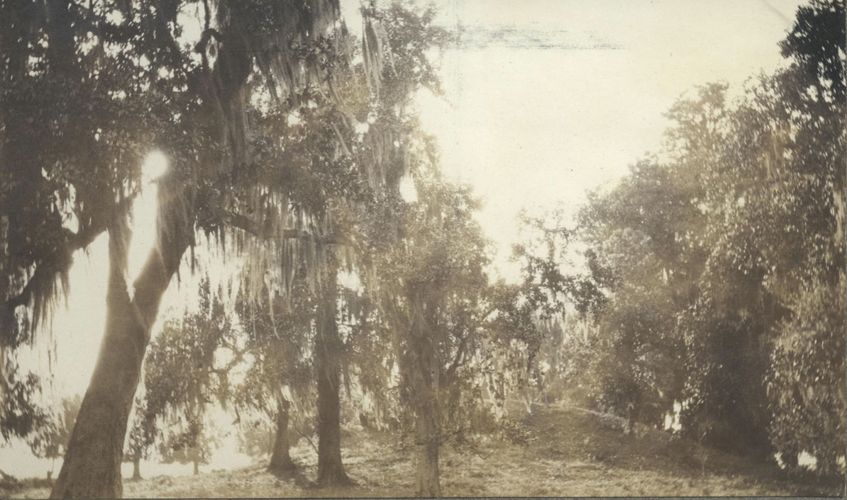 View of one of the mounds from 1921