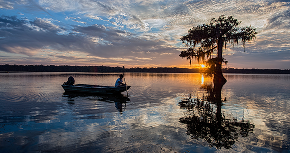 Person in a boat near cypress trees on a Louisiana lake at sunset.